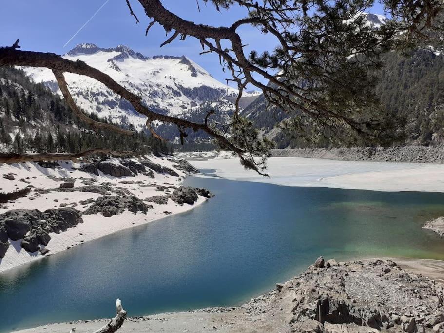 Saint Lary Ski, Rando, Thermes, Balades Et Repos ! Lejlighed Eksteriør billede